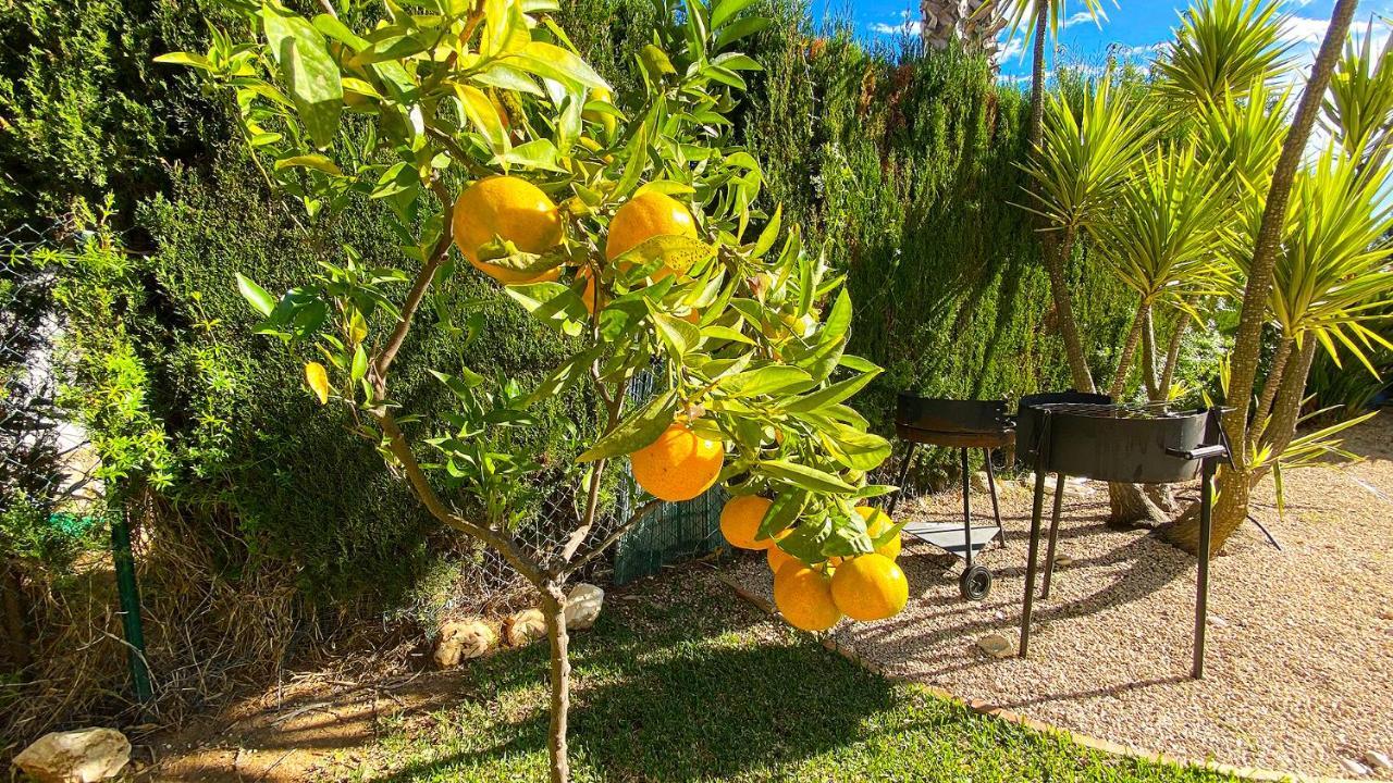 Villa El Palmar II Denia Dış mekan fotoğraf